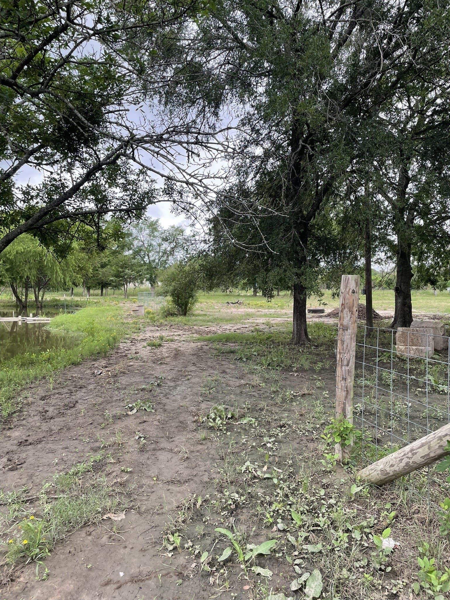 3 acres in Hunt County featured view