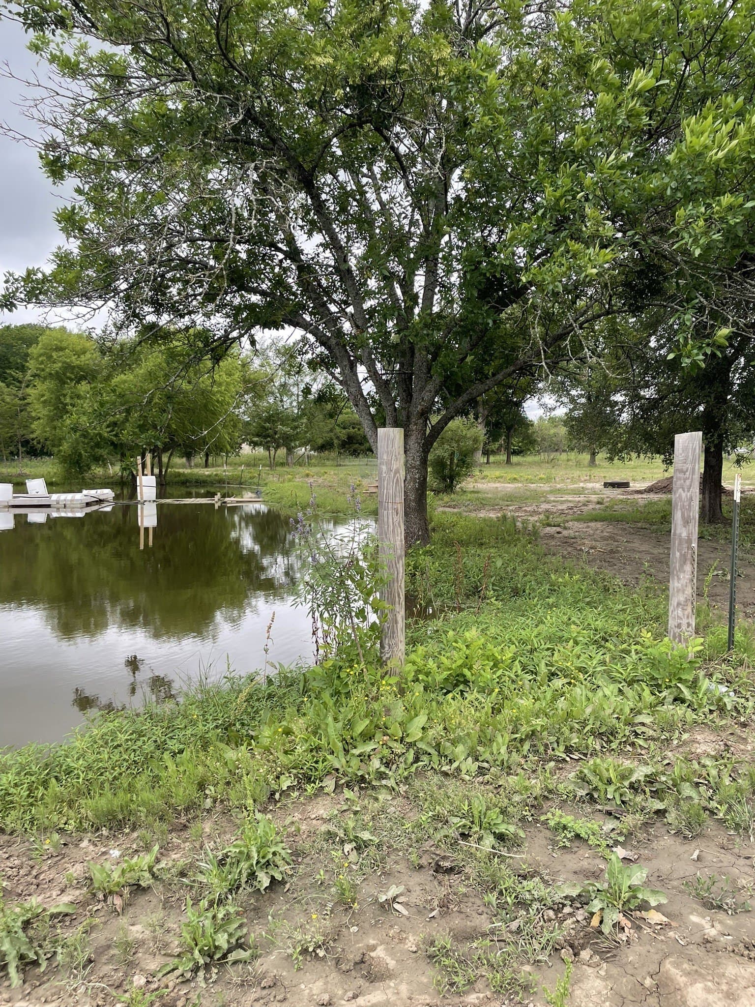 3 acres in Hunt County gallery image 4