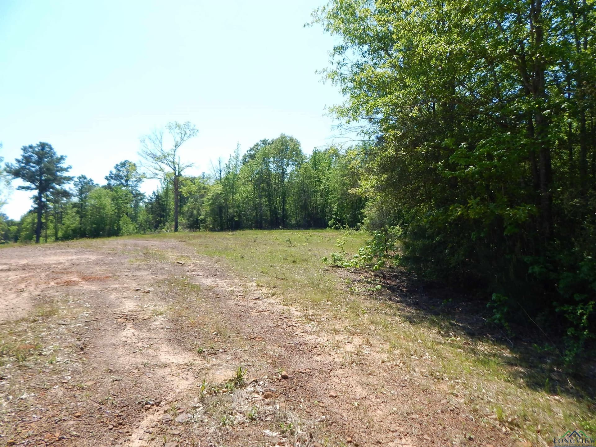 15 acres in Upshur County gallery image 4
