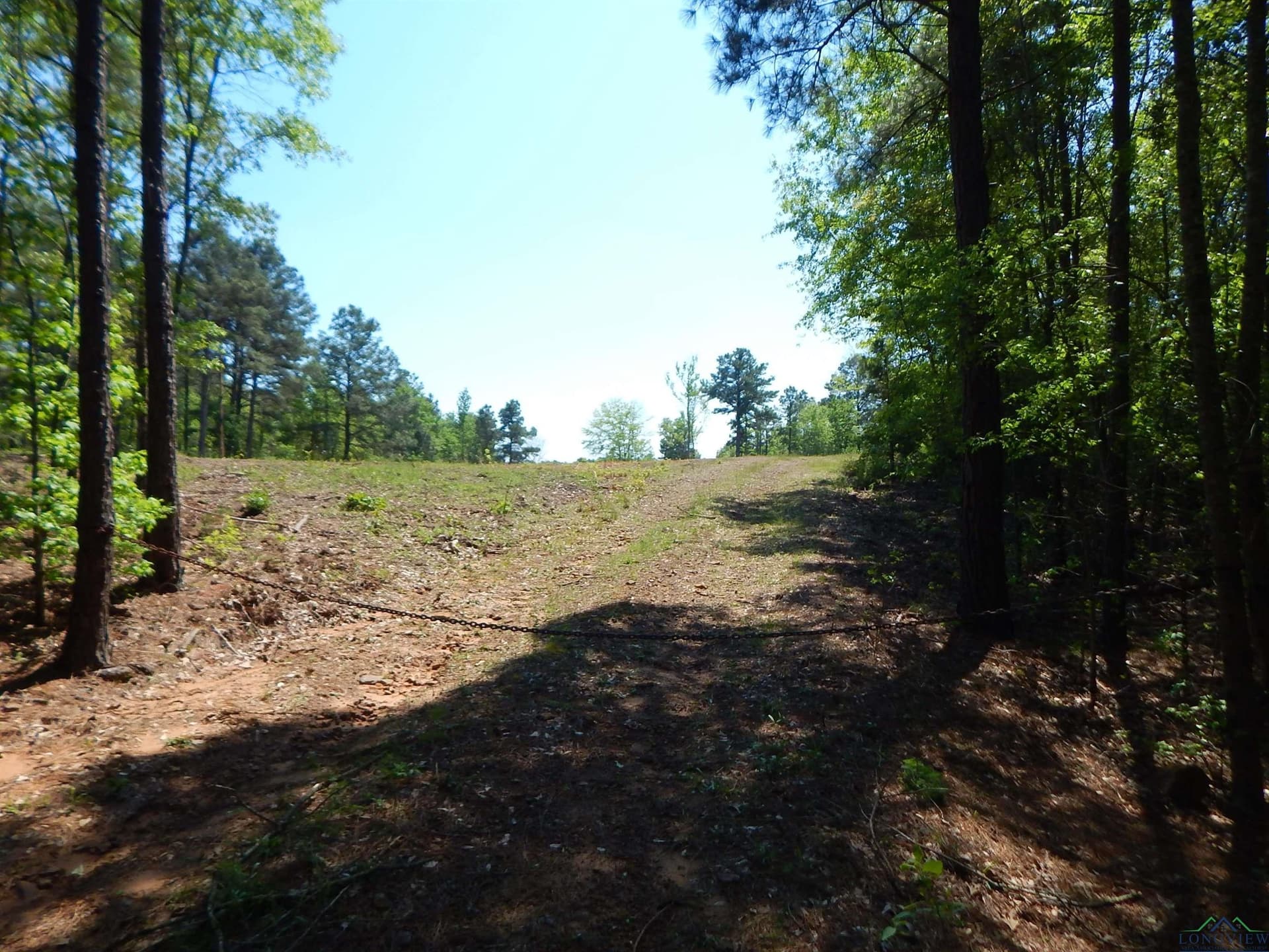 15 acres in Upshur County gallery image 2