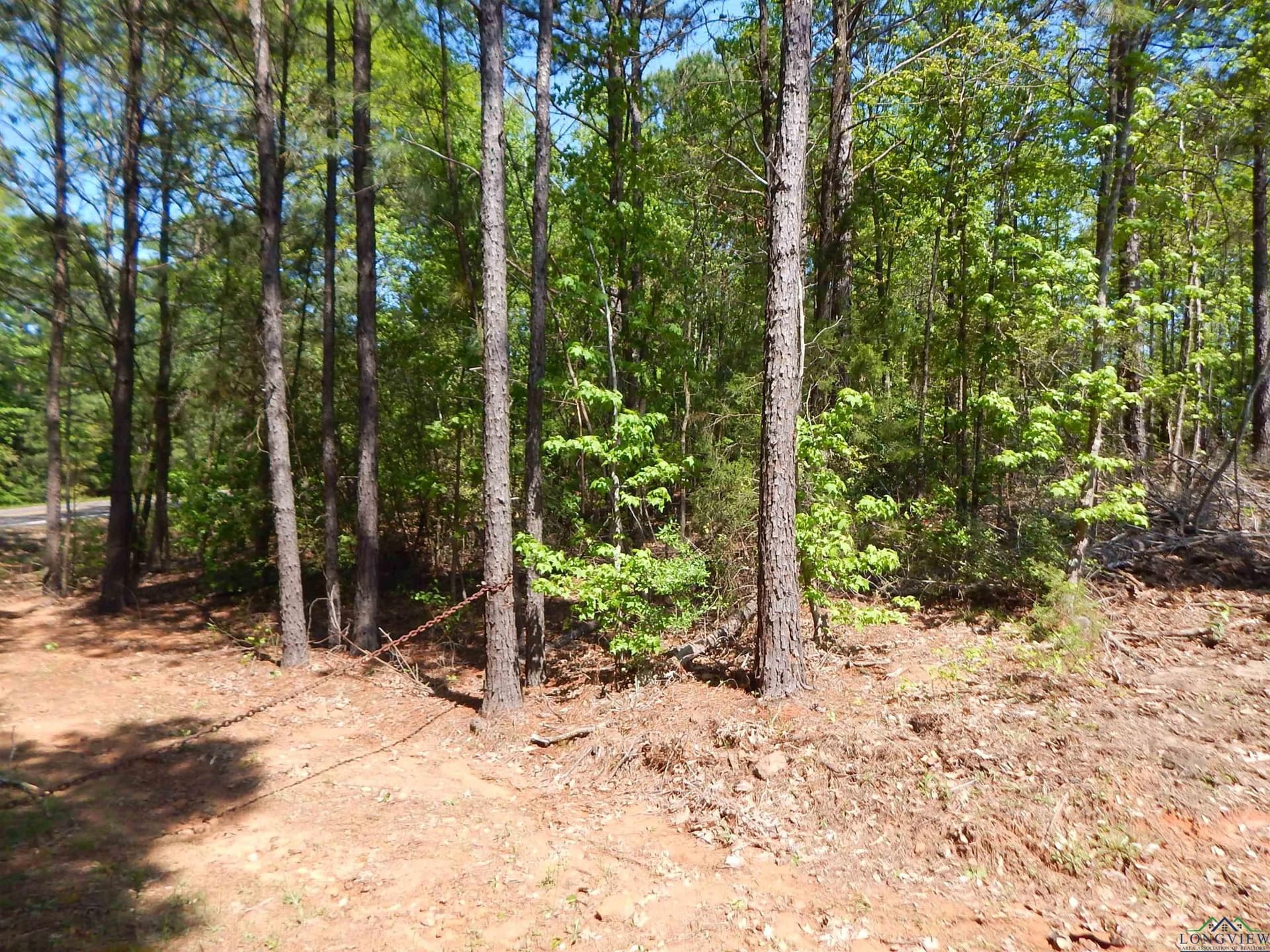 15 acres in Upshur County gallery image 3