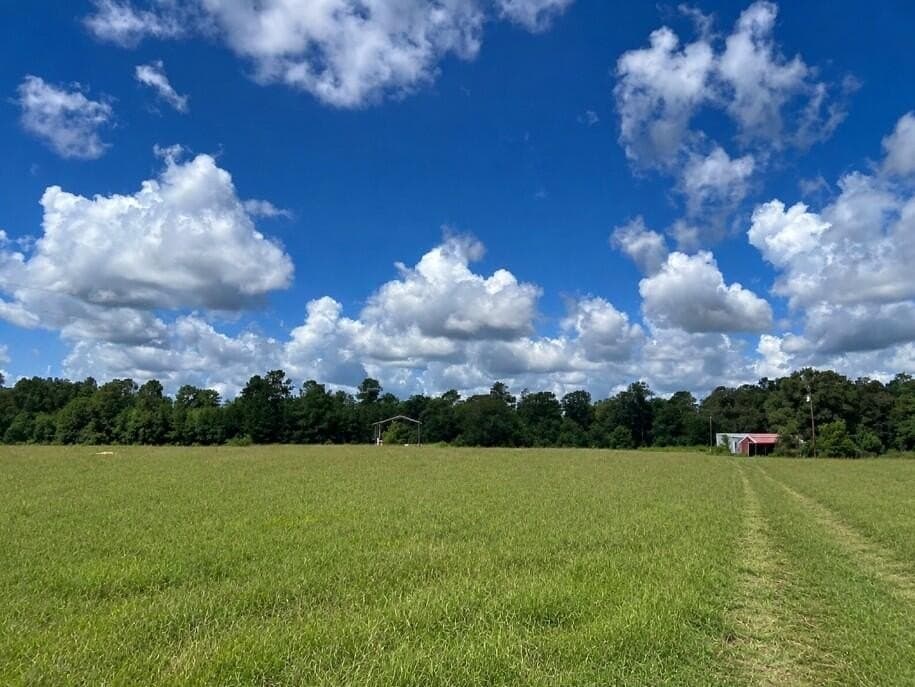 18.66 acres in Texas County - photo 2