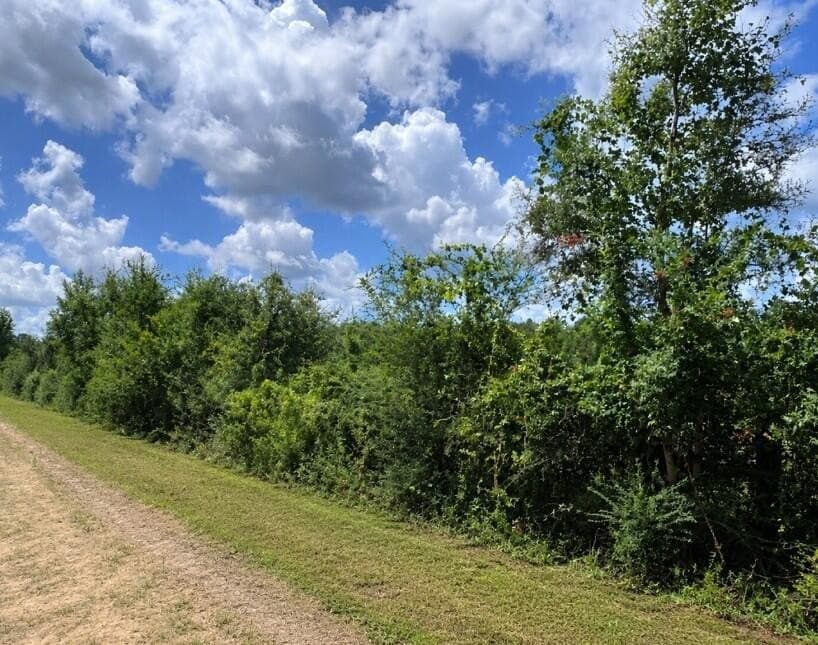 18.66 acres in Texas County - photo 12