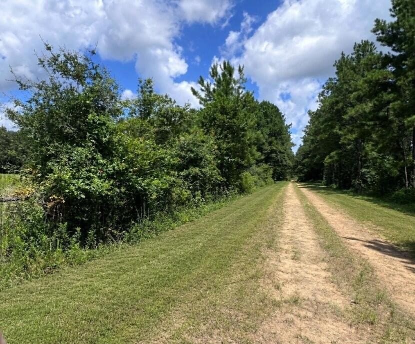 18.66 acres in Texas County - photo 17