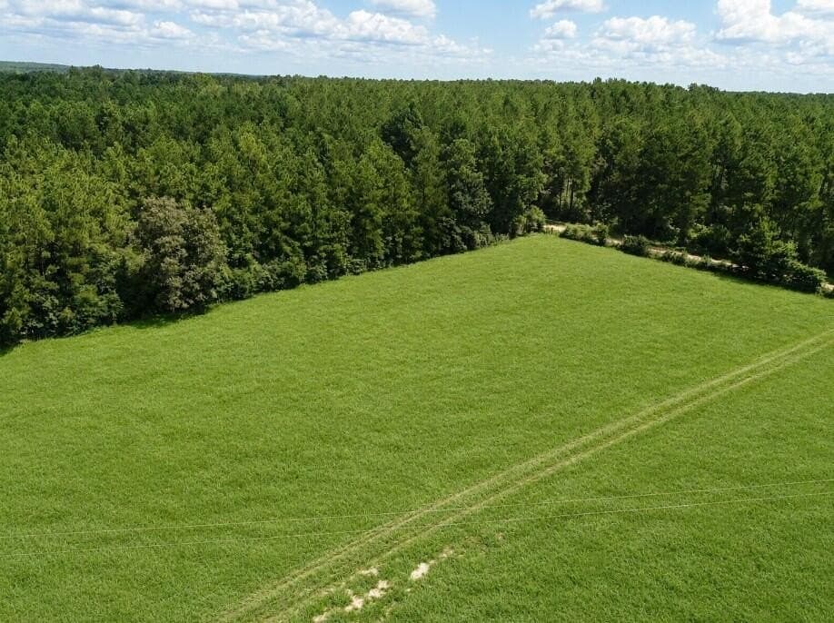 18.66 acres in Texas County - photo 9