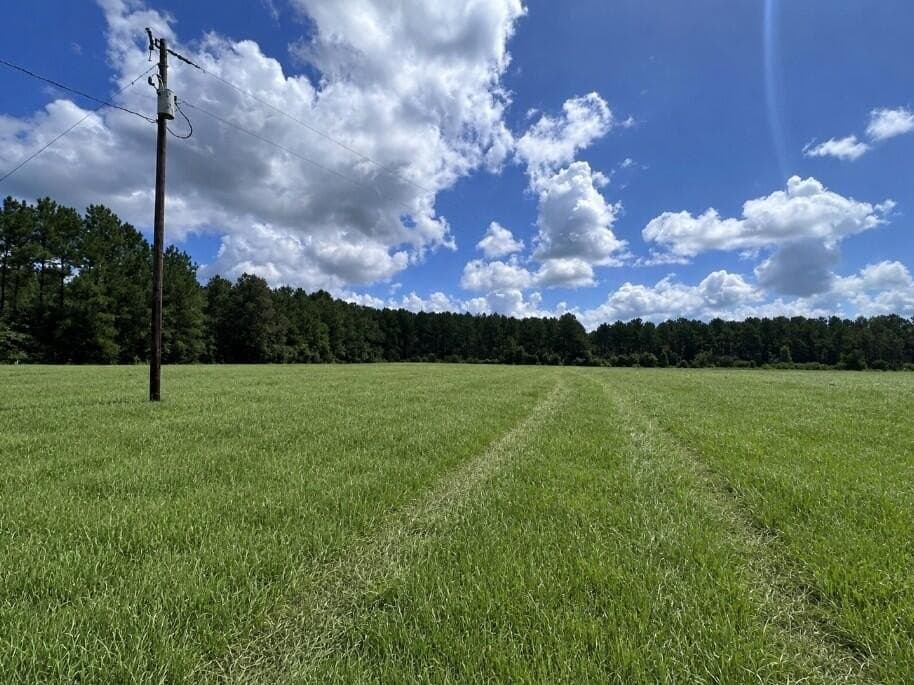 18.66 acres in Texas County - photo 5