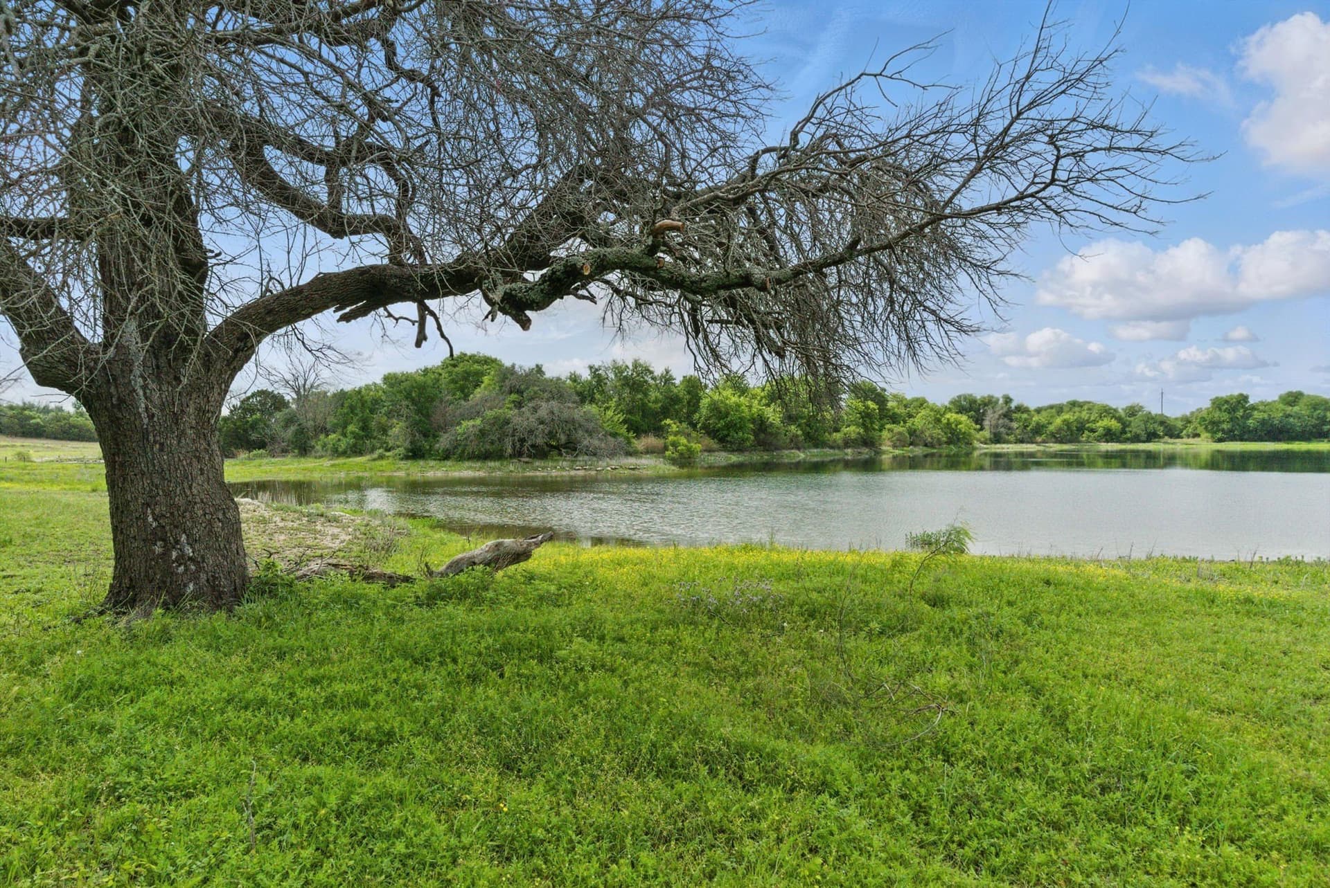 292 acres in Parker County - photo 7