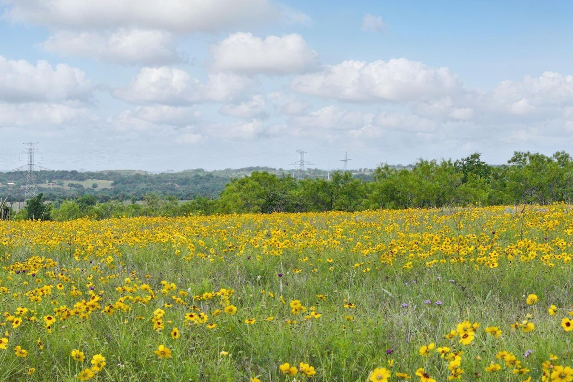 292 acres in Parker County - photo 11