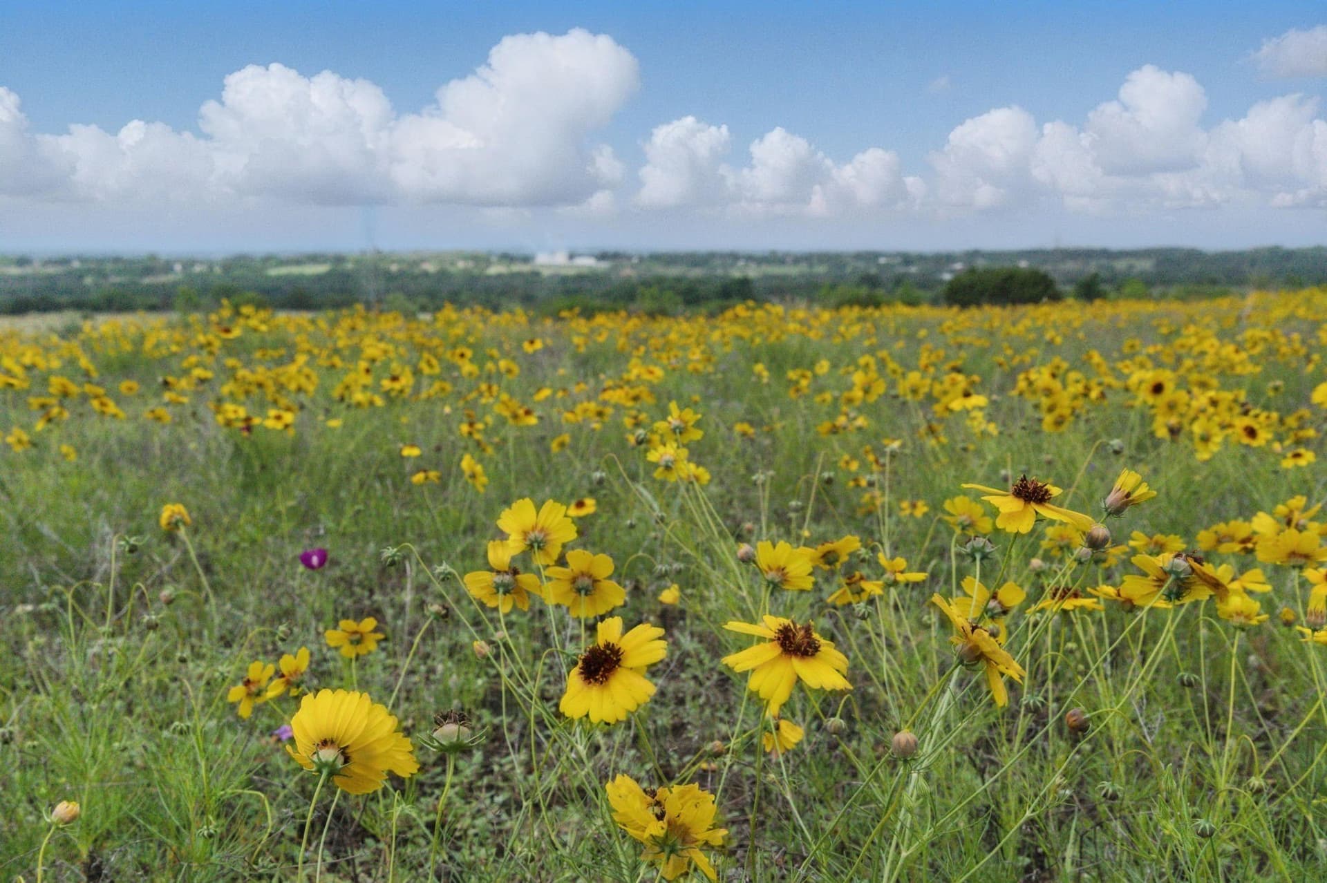 292 acres in Parker County - photo 3