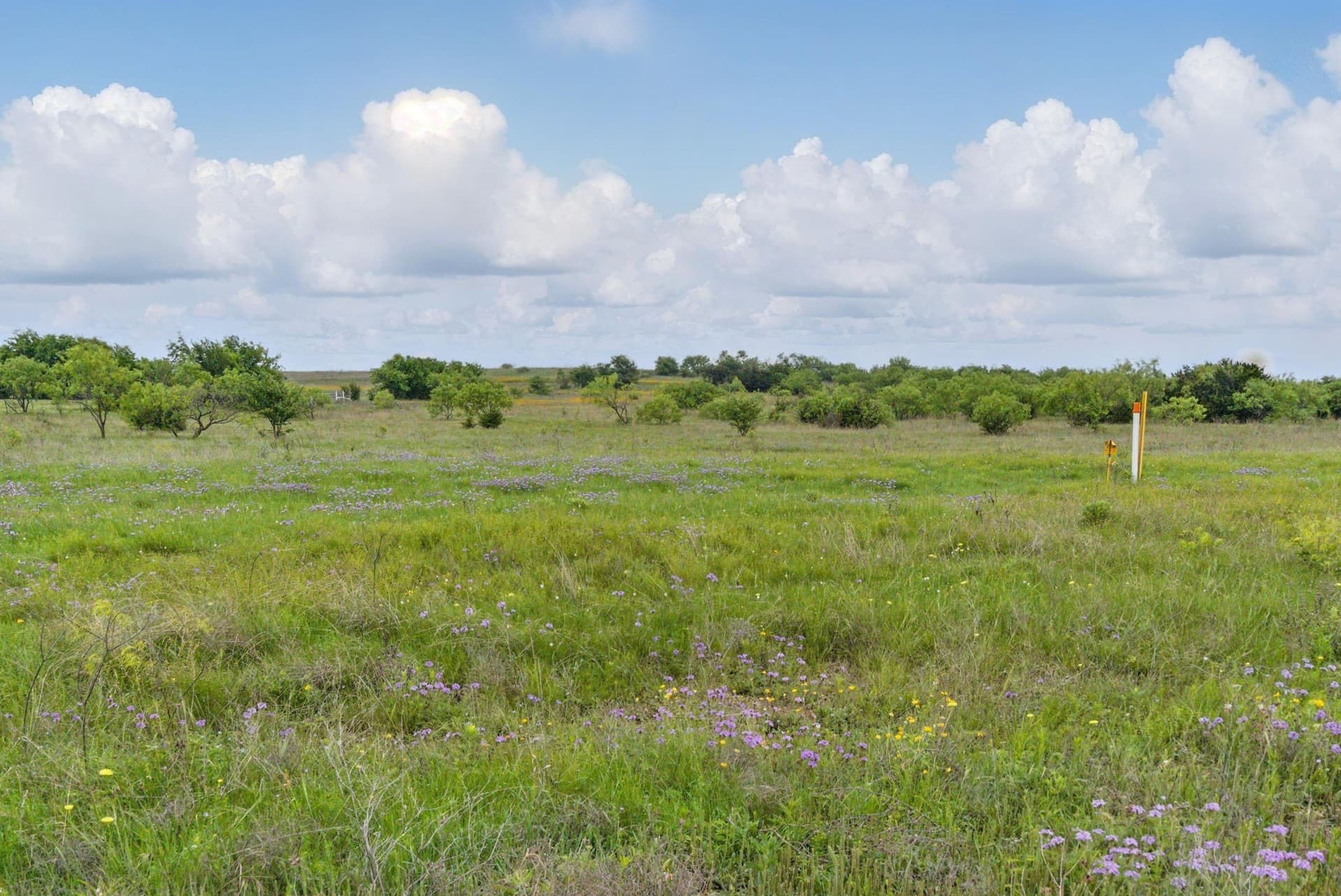 292 acres in Parker County - photo 9