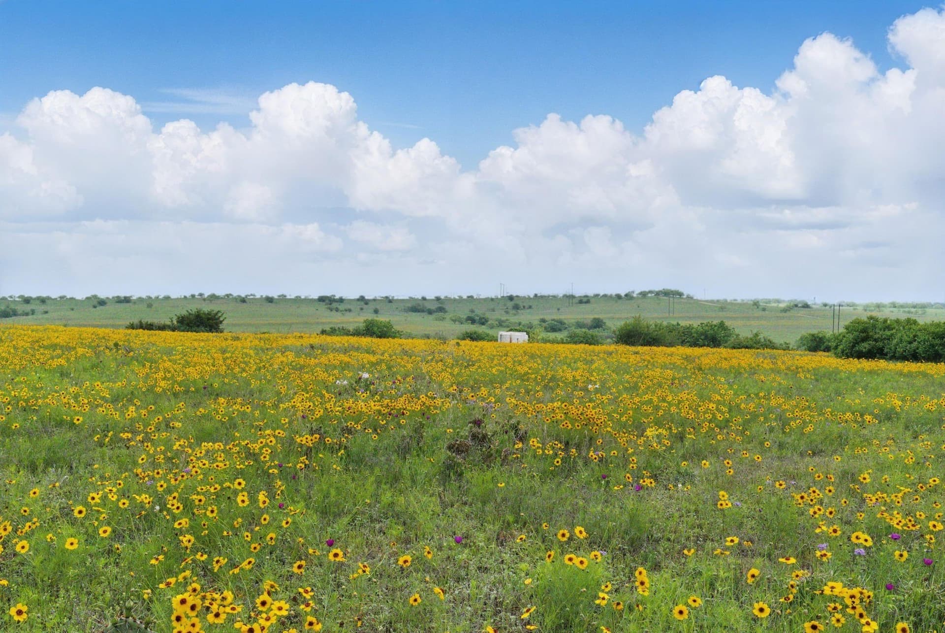 292 acres in Parker County - photo 10