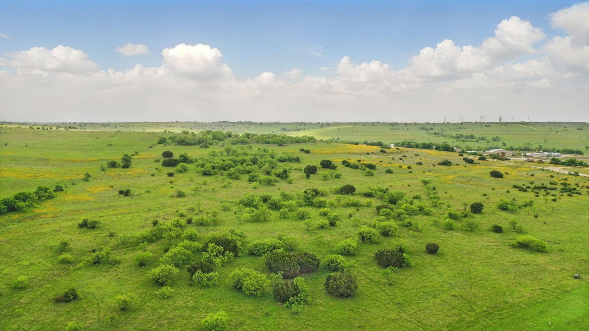 292 acres in Parker County - photo 31