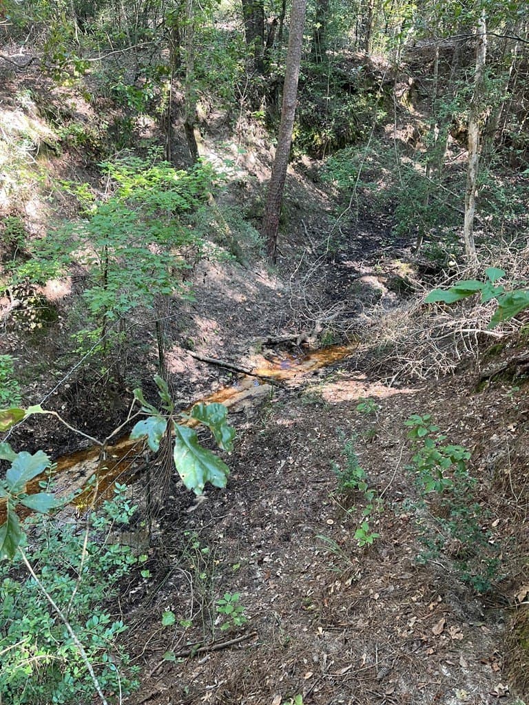 15.57 acres in Texas County featured view