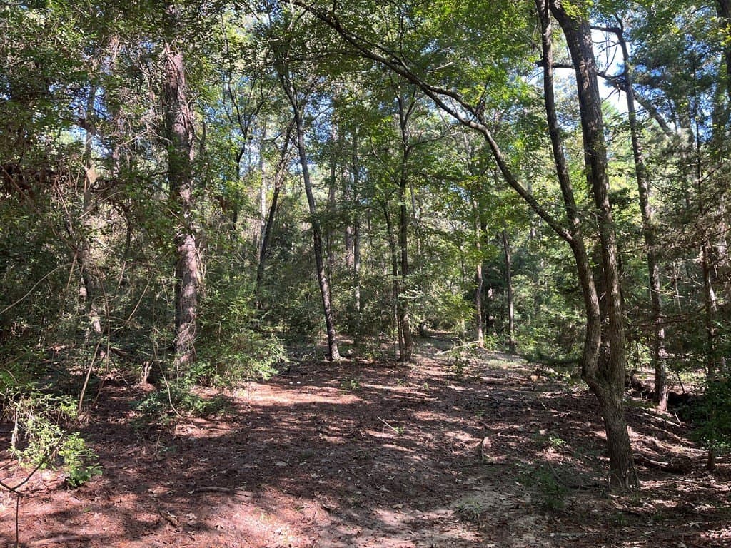 15.57 acres in Texas County gallery image 3