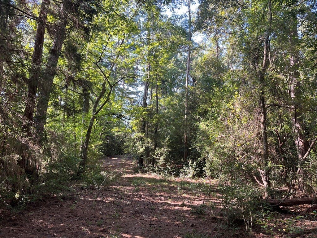 15.57 acres in Texas County gallery image 4