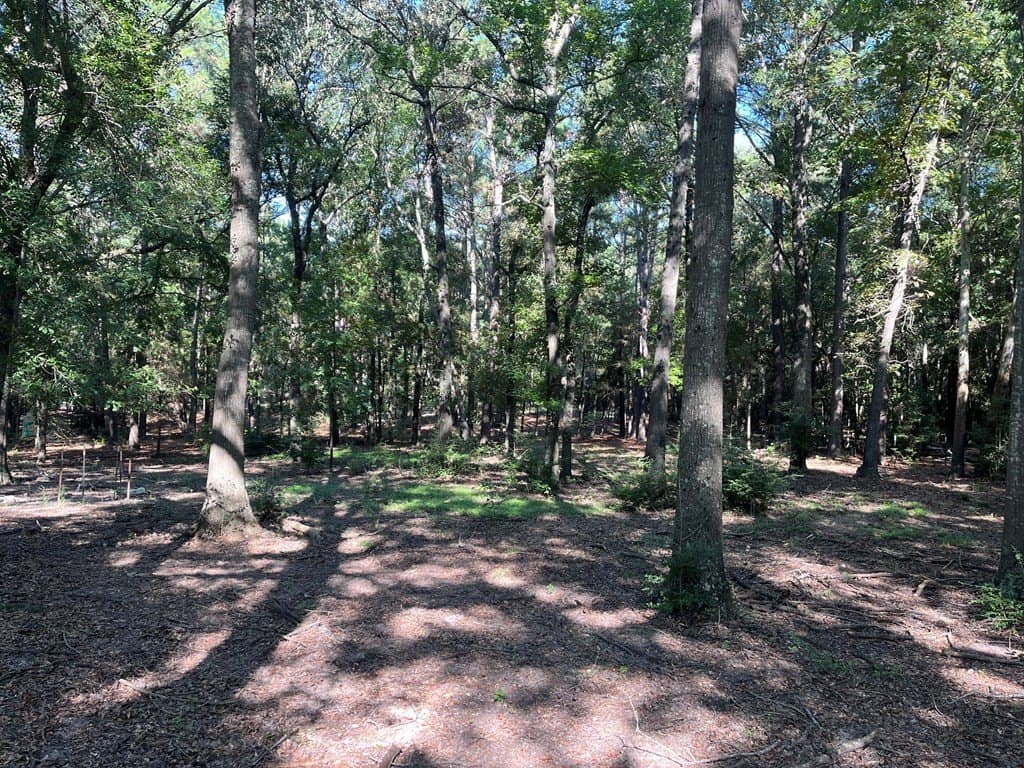 15.57 acres in Texas County gallery image 2