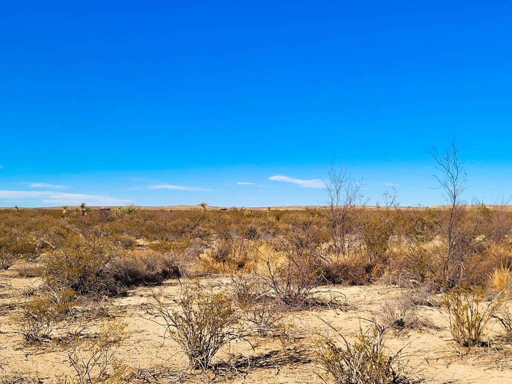 5 acres in Brewster County - photo 13