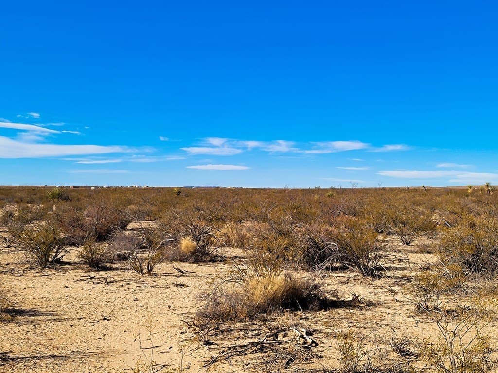 5 acres in Brewster County - photo 12