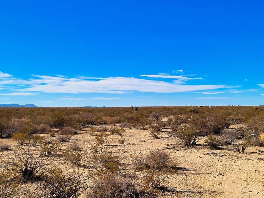 5 acres in Brewster County - photo 11