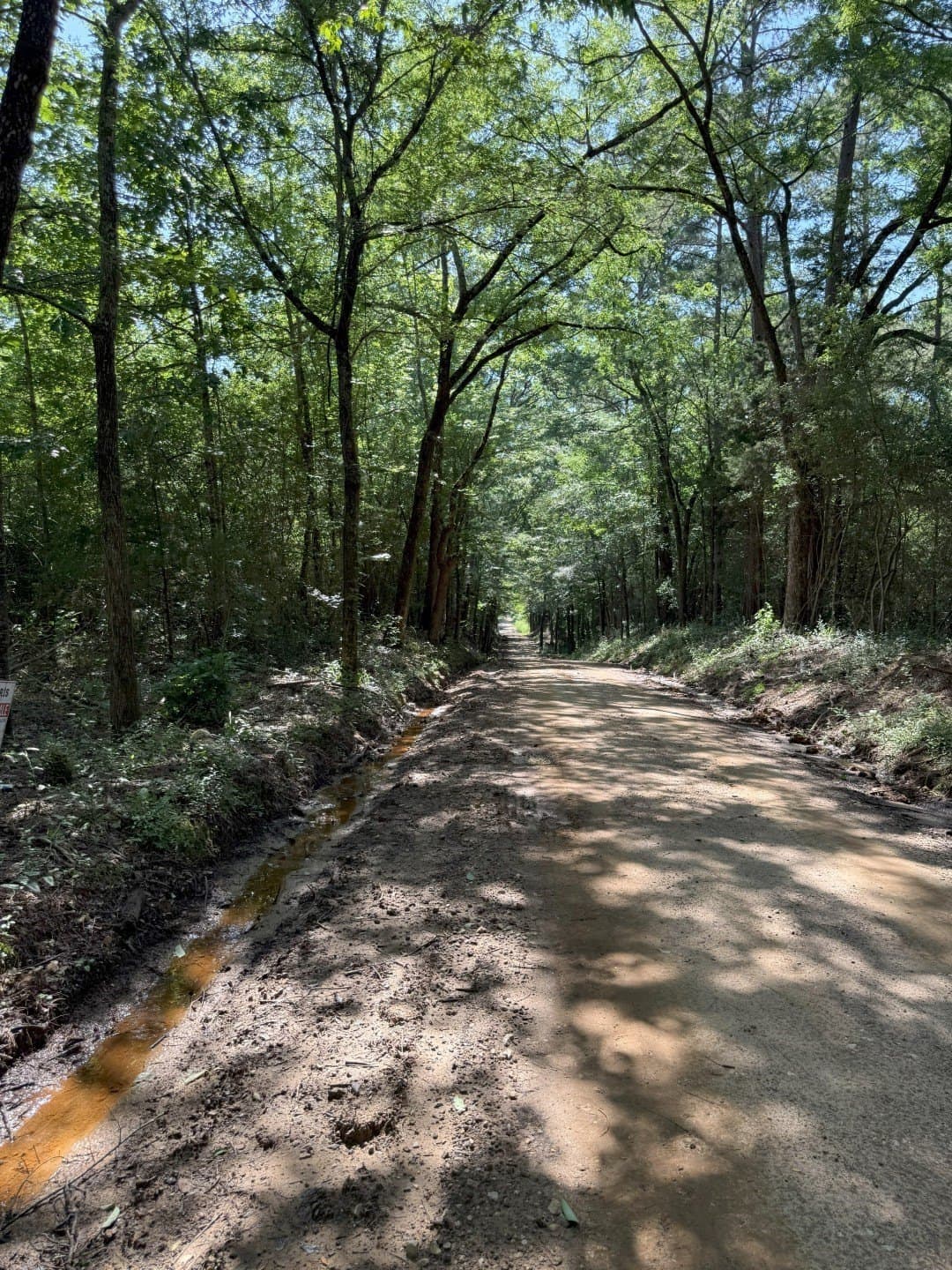 15.2 acres in Shelby County - photo 6