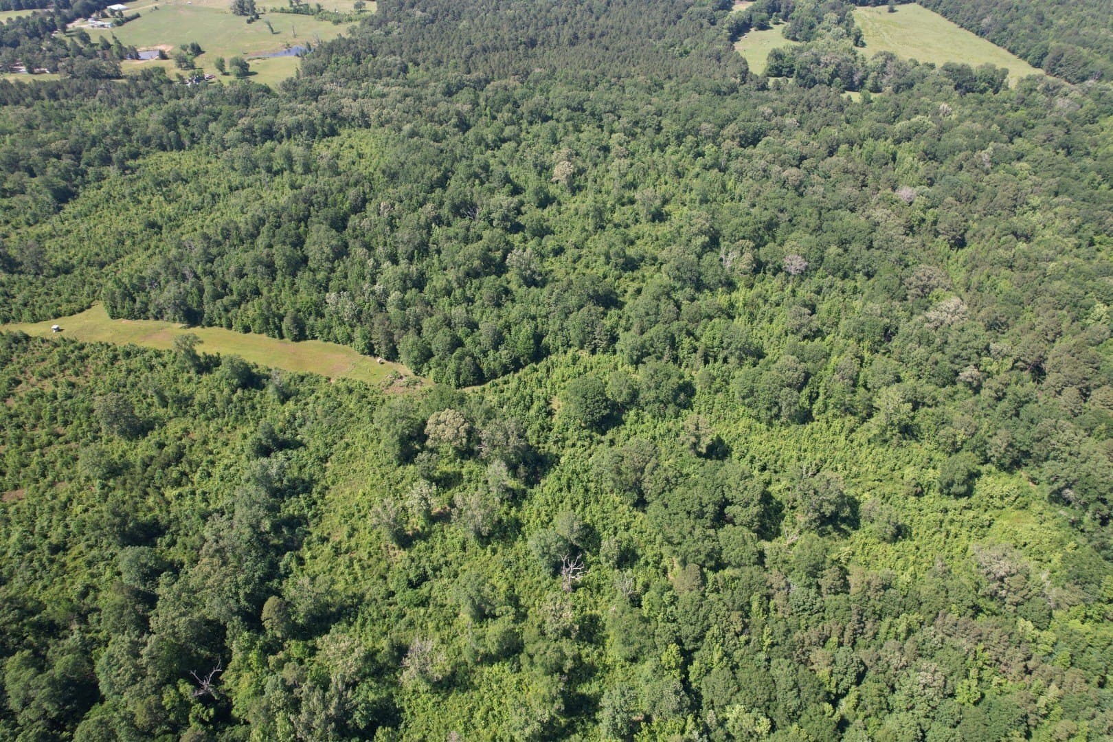 15.2 acres in Shelby County - photo 3