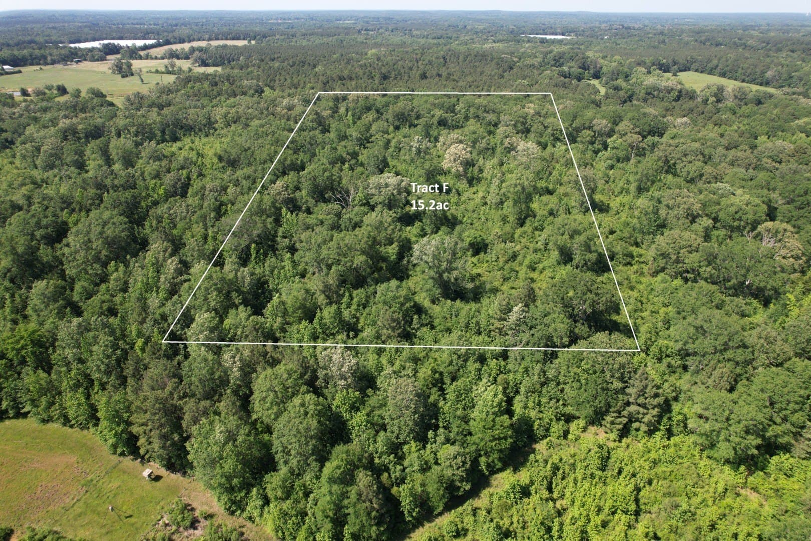 15.2 acres in Shelby County - photo 5