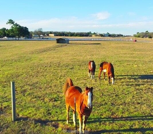 0.27 acres in Brazos County - photo 11