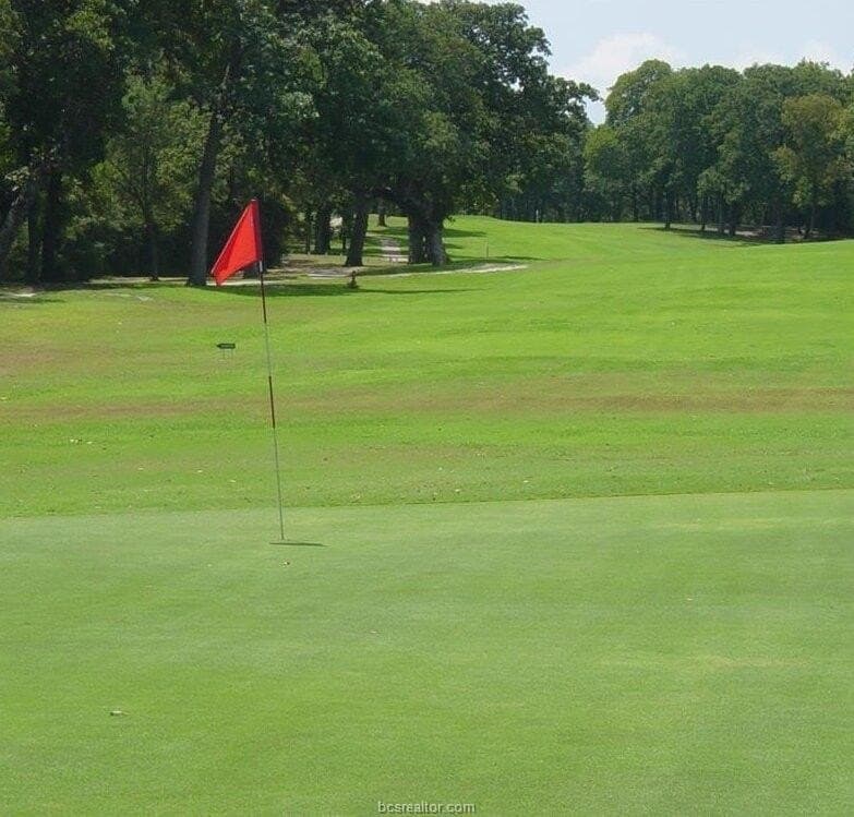0.27 acres in Brazos County - photo 16