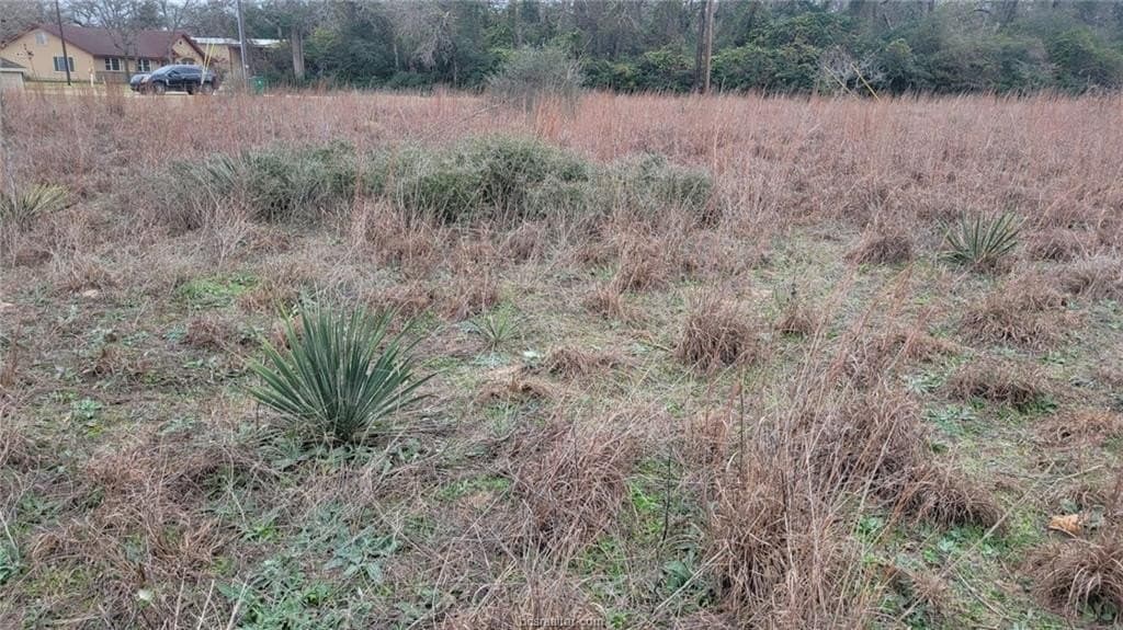 0.27 acres in Brazos County - photo 7