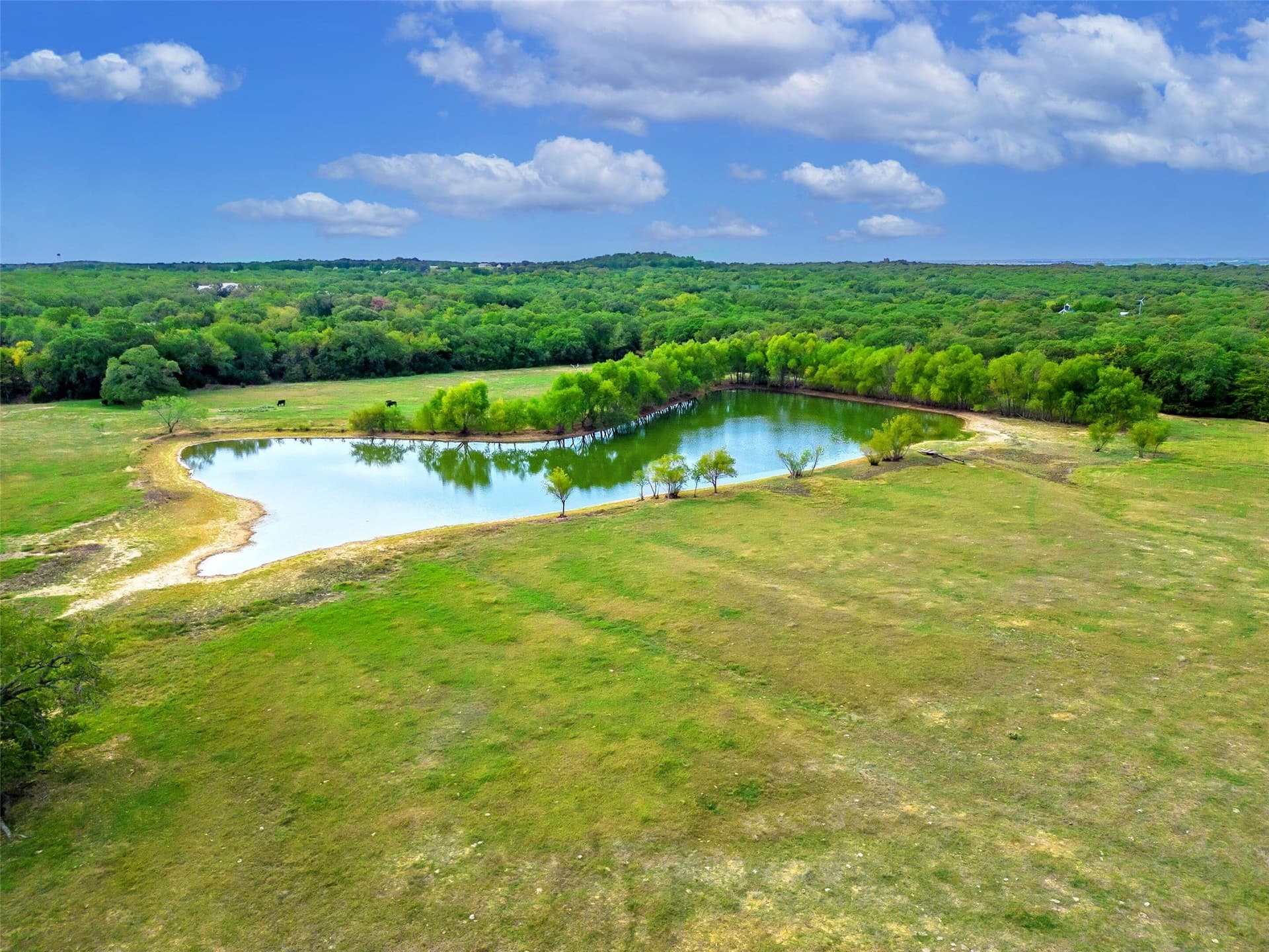 28 acres in Cooke County - photo 30