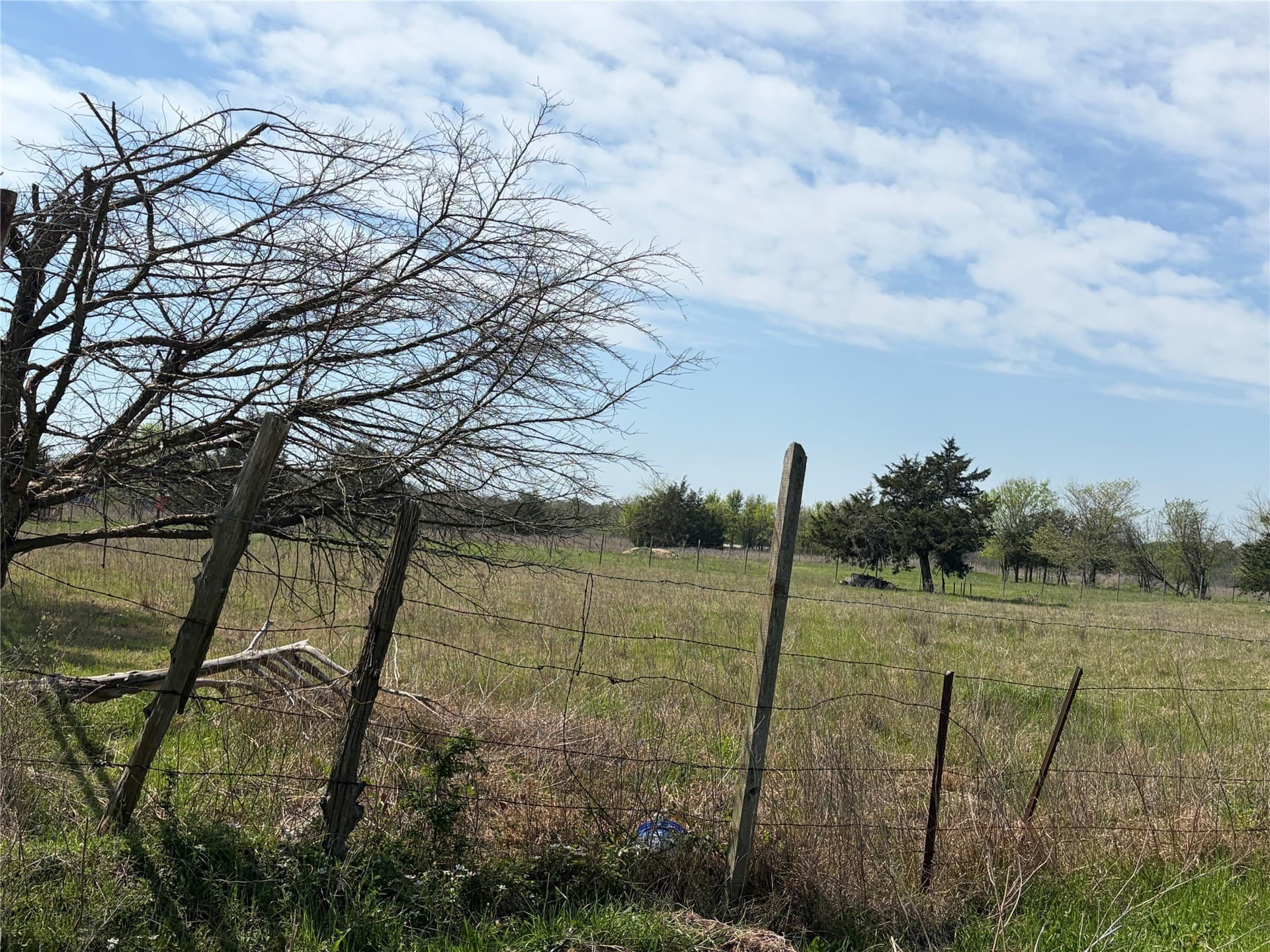 5 acres in Kaufman County - photo 10