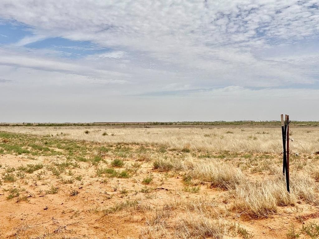 41.19 acres in Gaines County gallery image 2