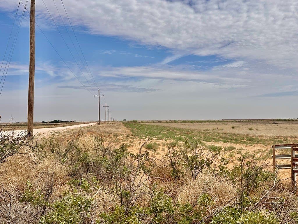41.19 acres in Gaines County gallery image 3
