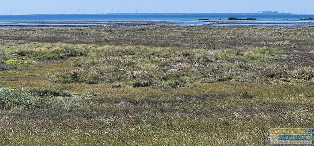 0 acres in Cameron County gallery image 4