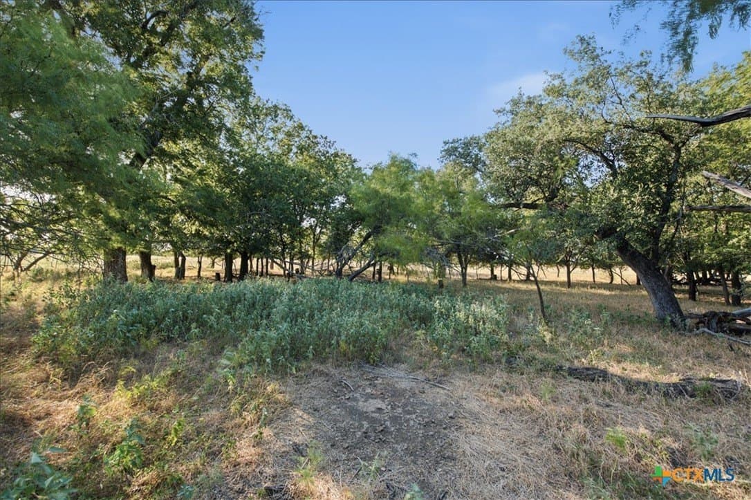 15 acres in Coryell County featured view