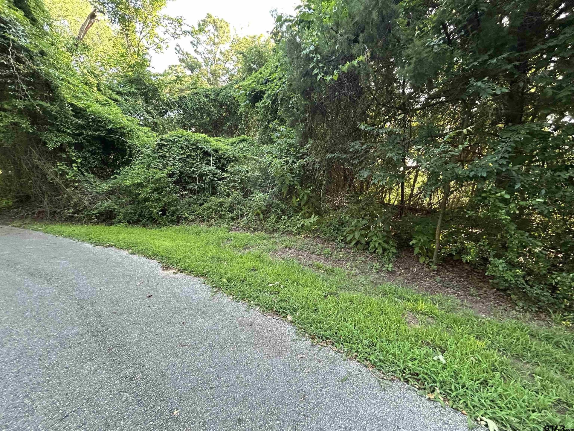 0.25 acres in Smith County gallery image 3