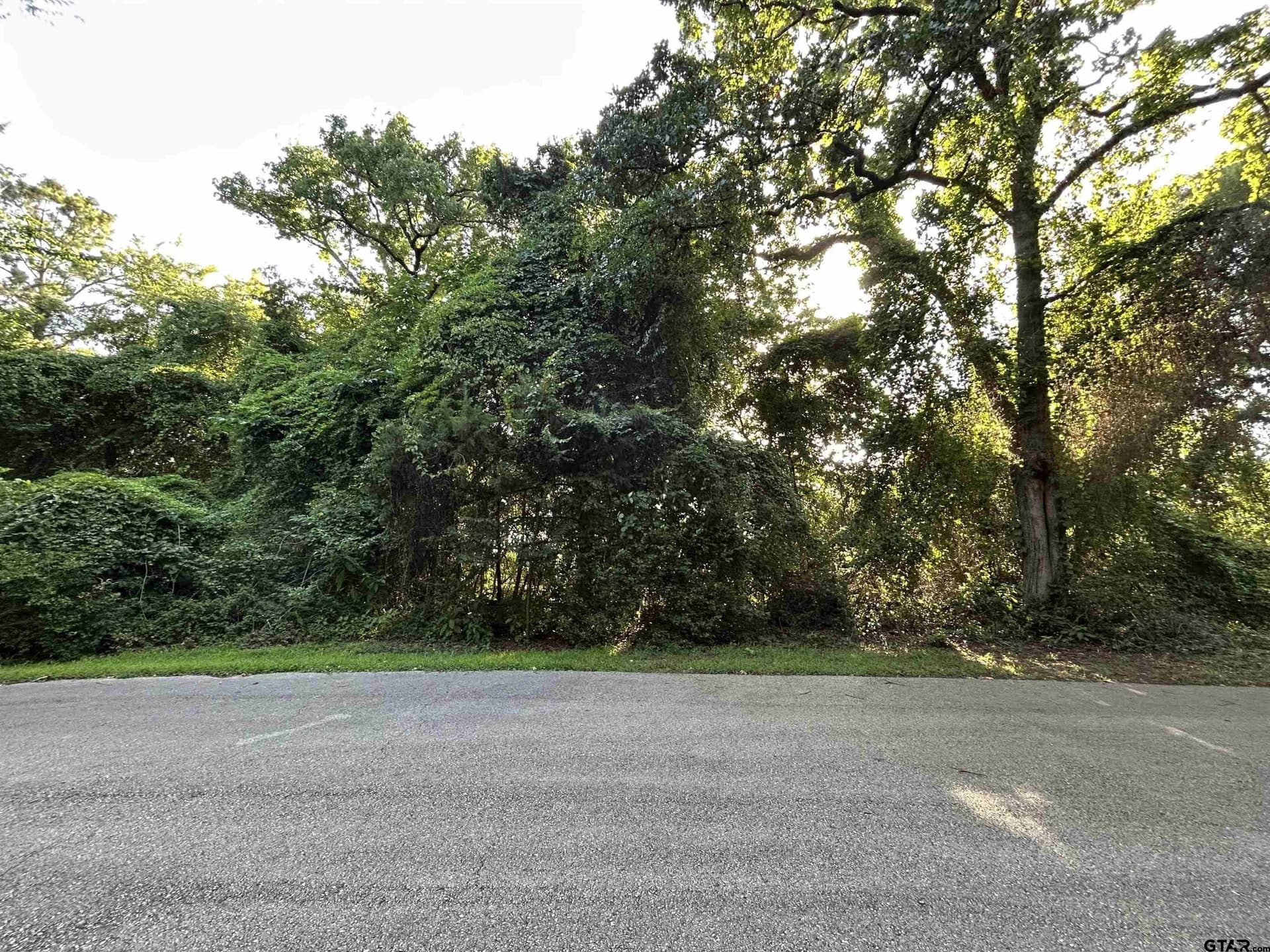 0.25 acres in Smith County gallery image 4