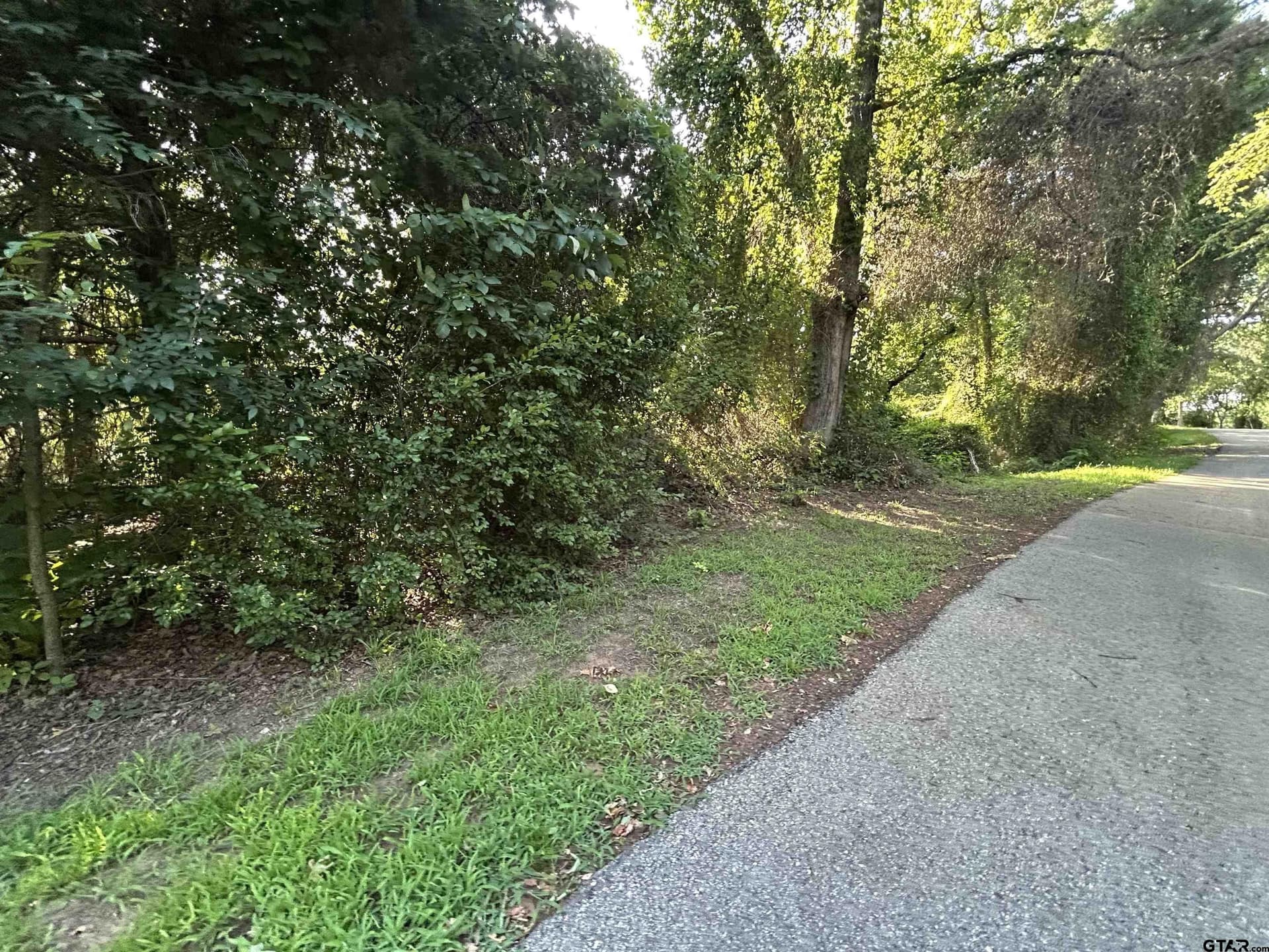 0.25 acres in Smith County gallery image 2