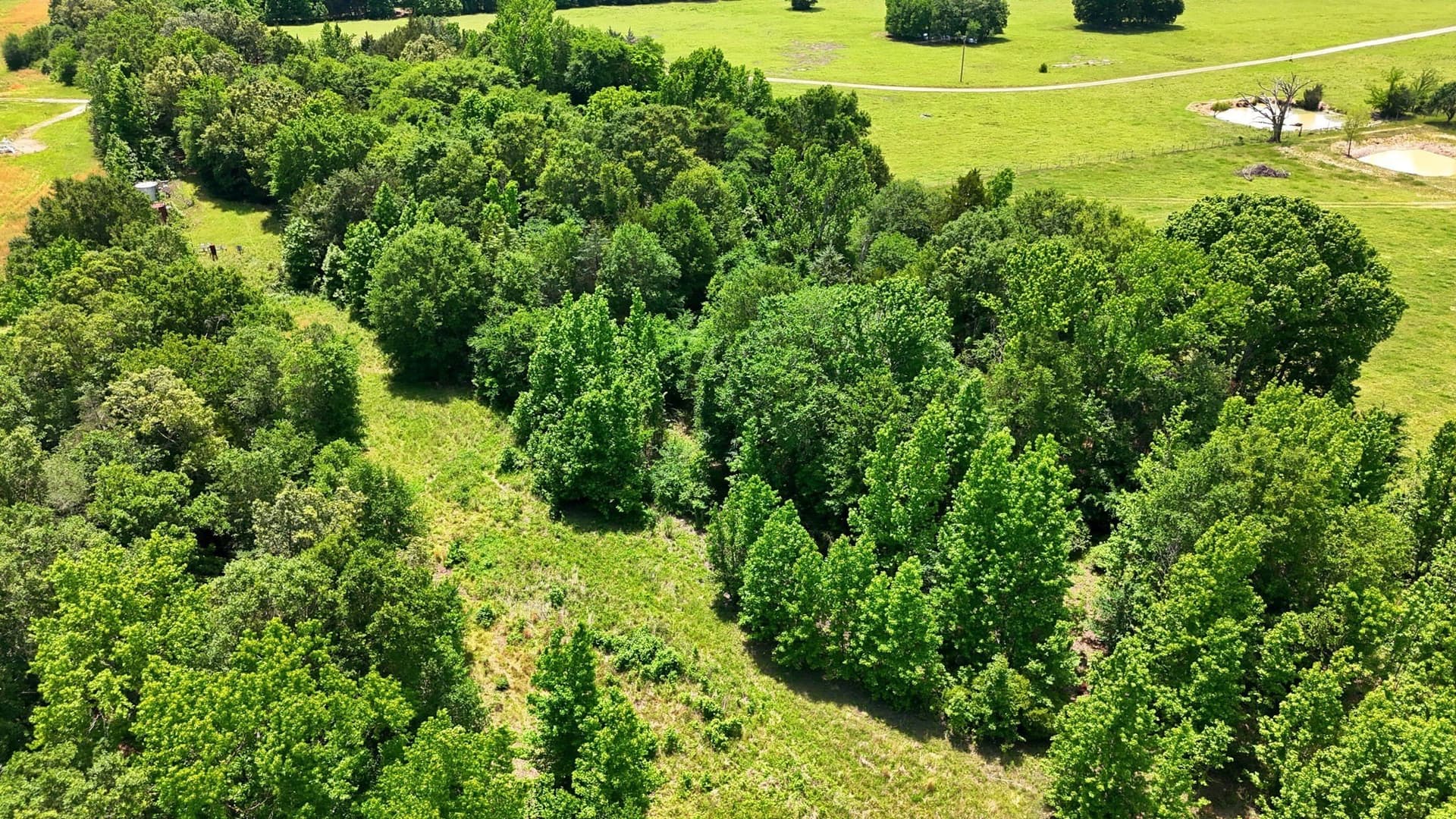 8.43 acres in Wood County - photo 16