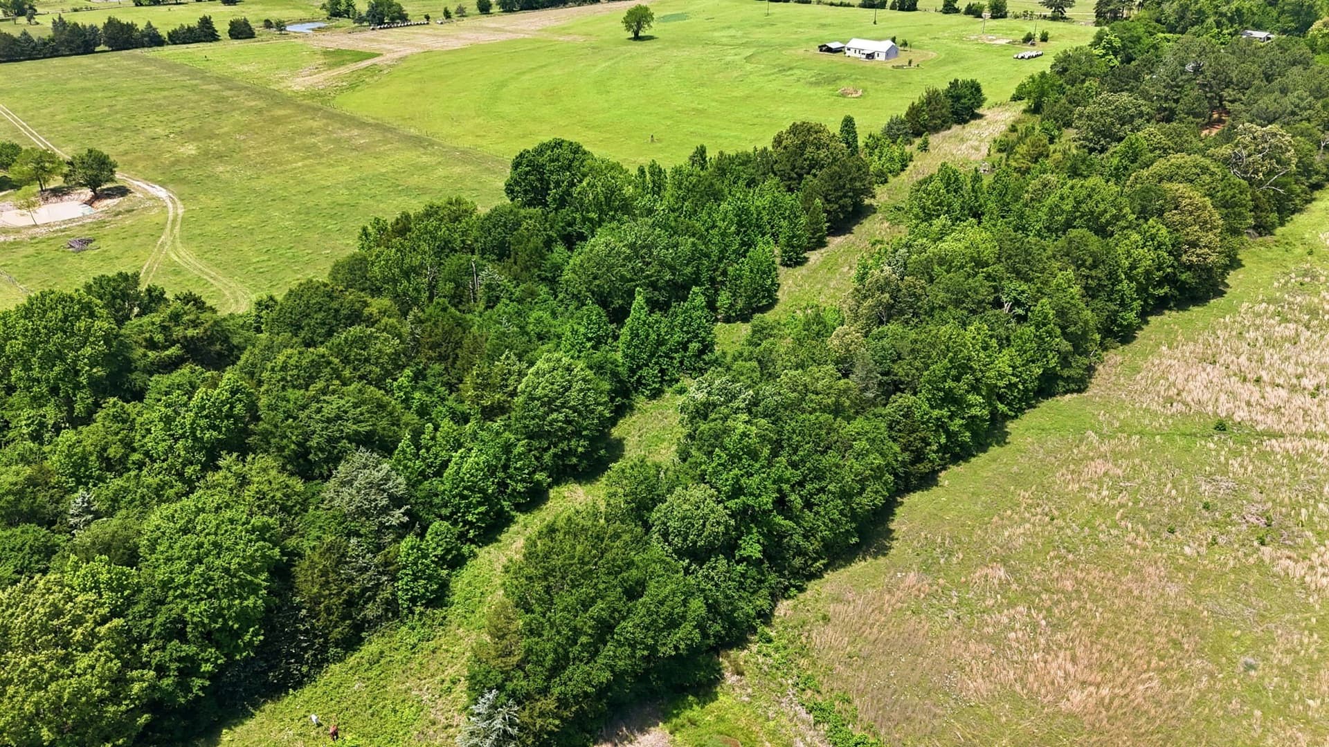 8.43 acres in Wood County - photo 19