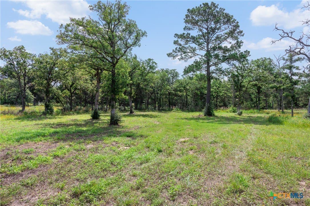 22.39 acres in Bastrop County - photo 6
