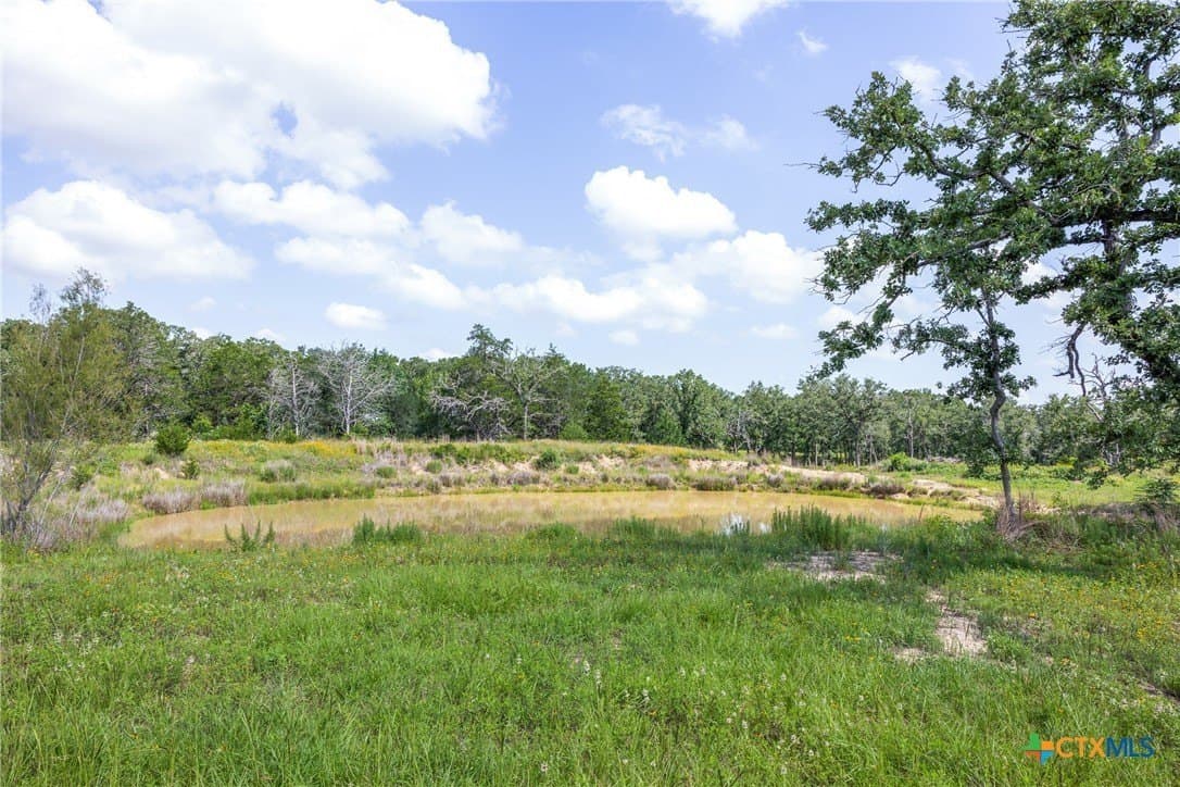 22.39 acres in Bastrop County gallery image 4