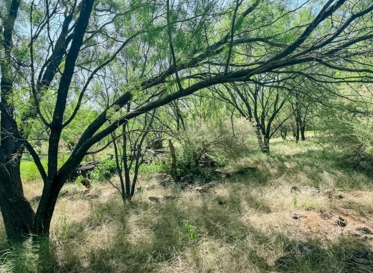 17.99 acres in Brown County gallery image 2