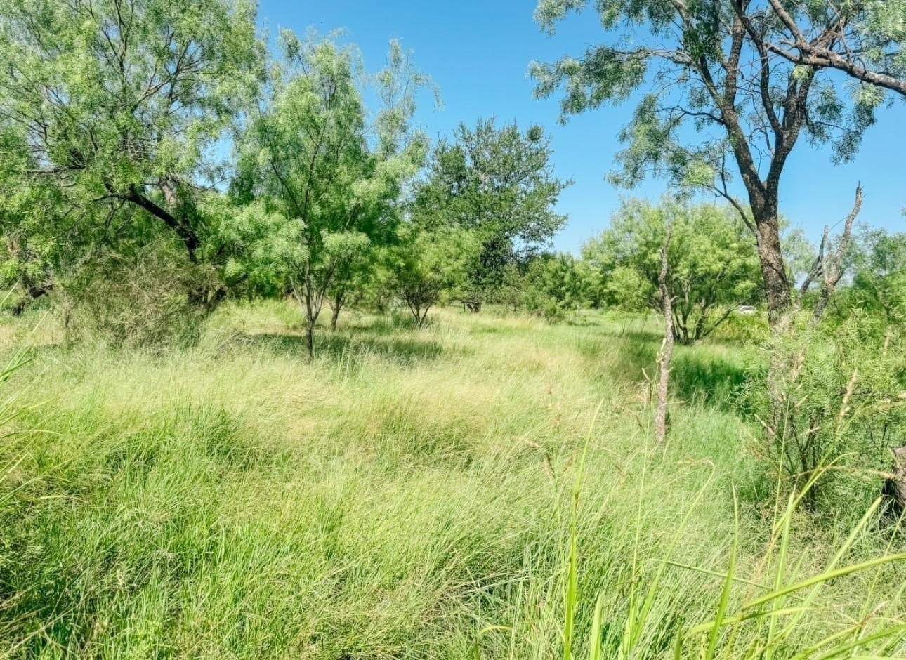 17.99 acres in Brown County - photo 8