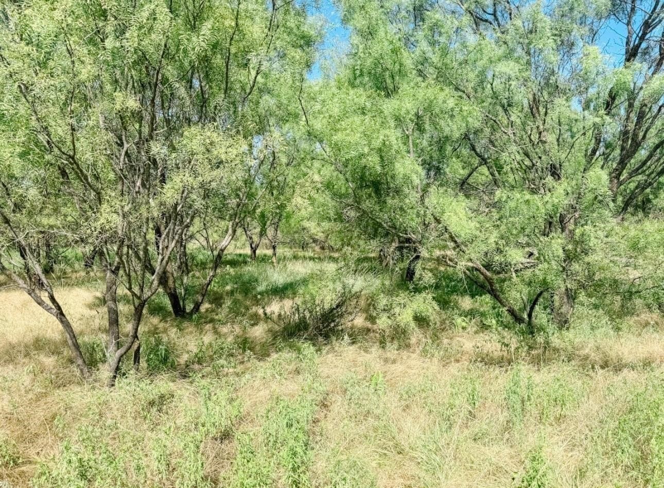 17.99 acres in Brown County - photo 6