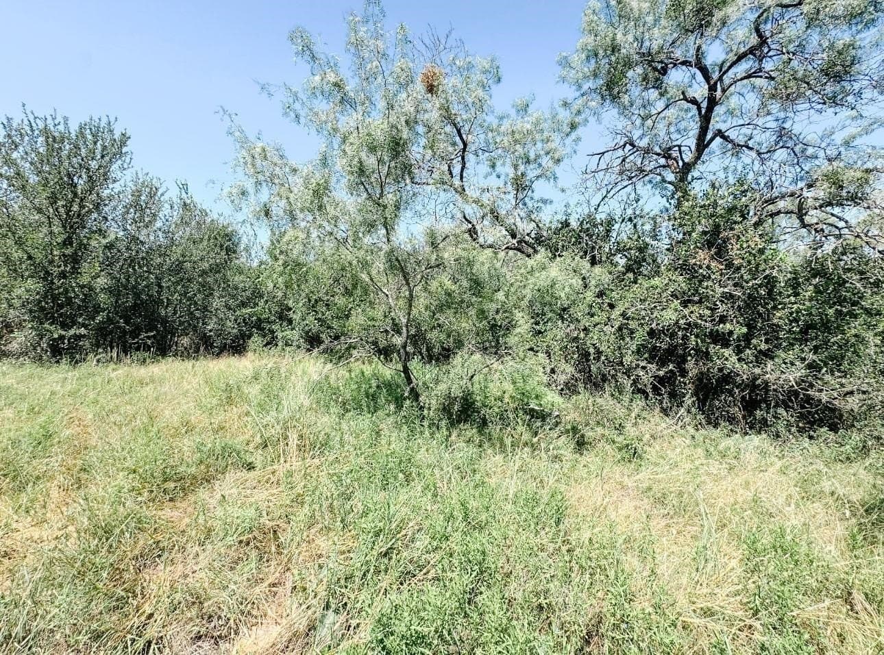 17.99 acres in Brown County