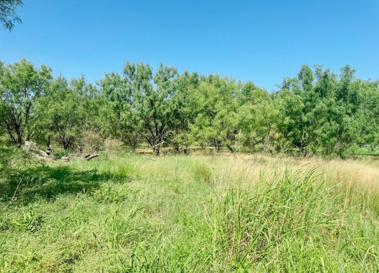 17.99 acres in Brown County - photo 7