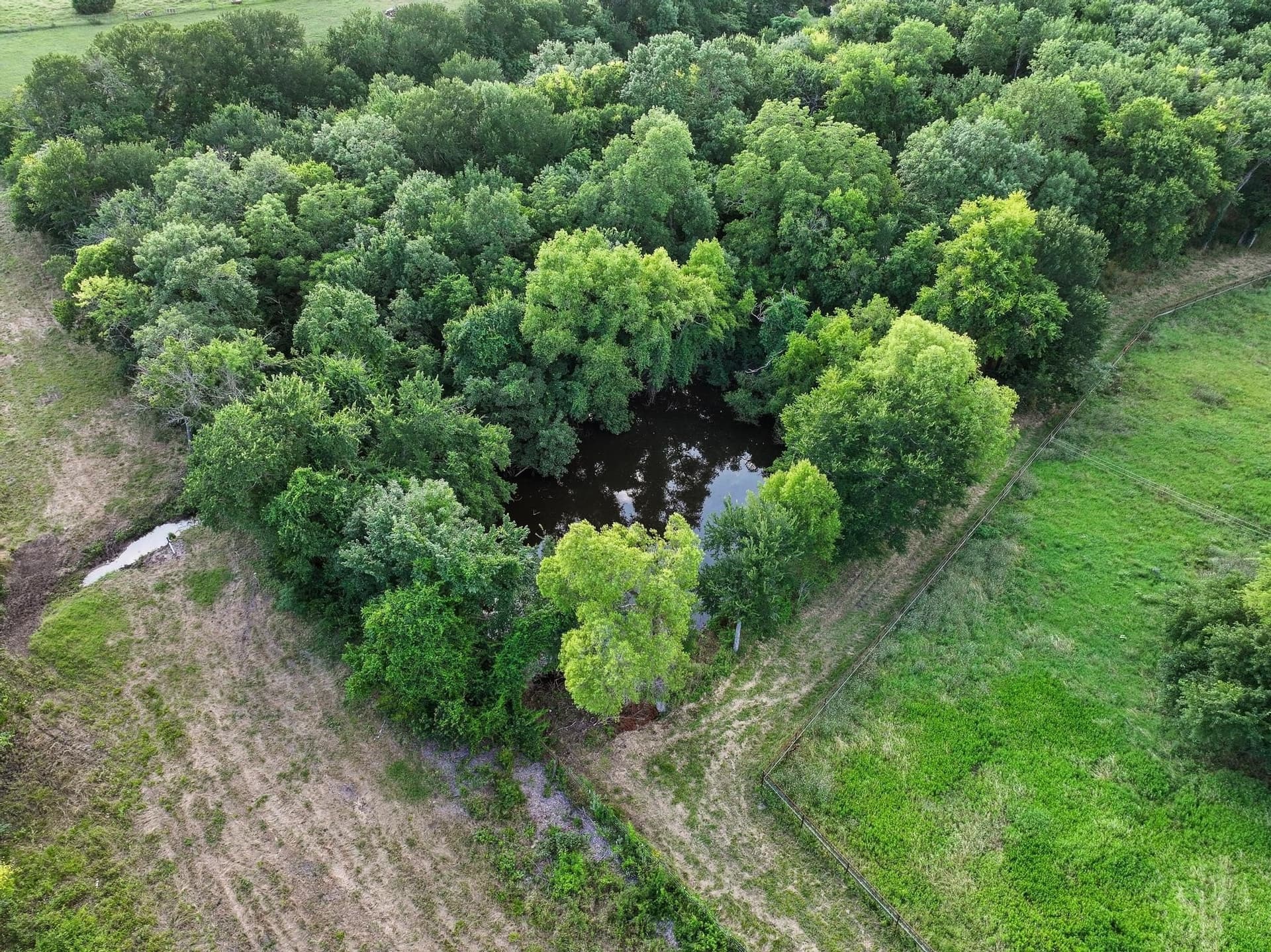10 acres in Collin County - photo 30