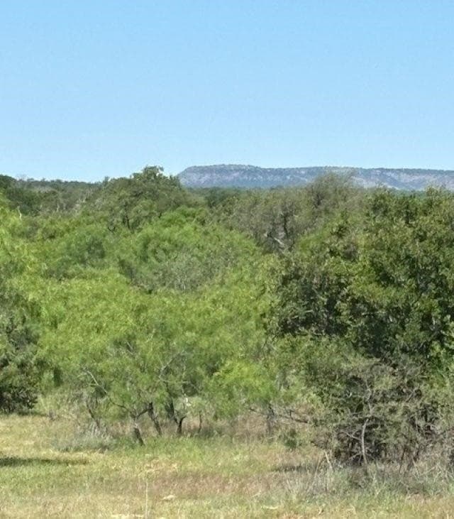 65.42 acres in Llano County - photo 6