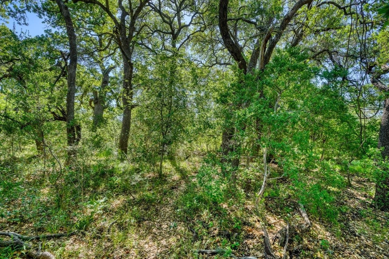 65.42 acres in Llano County - photo 24